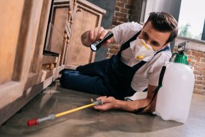 The Benefits of Regular Pest Control Services for Businesses