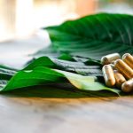 Green Borneo Kratom Your Ultimate Guide